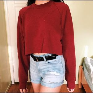 Cropped Berry Sweater